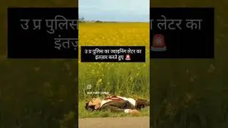 #motivation up 🚨 police joining letter up police vacancies 2025###police