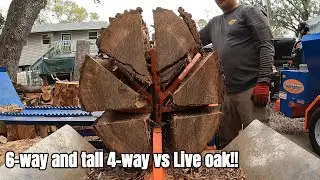 Cutting and splitting Live oak with 37D and 22-28!