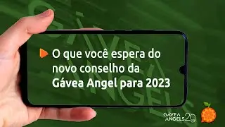 Novo Conselho G&aacute;vea Angels
