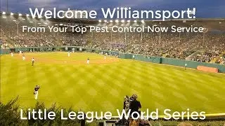 Top Exterminator Near Me Williamsport PA