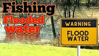 Catfish Weekly 467 Fishing High Water