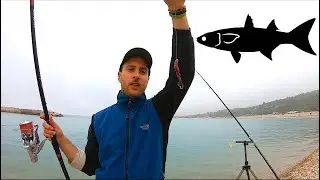 Una Cattura INASPETTATA Pescando a Fondo con i Vermi! Pesca dalla Spiaggia in Mare a Primavera