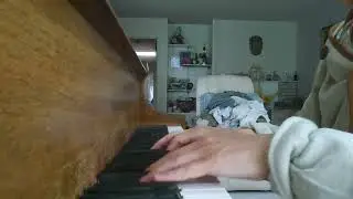 ZOOM0010