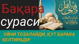 БАҚАРА СУРАСИ - УЙНИ ТОЗАЛАЙДИ, ҚУТ БАРАКА КЕЛТИРАДИ!