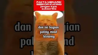 [FULL ALBUM] Silvy Kumalasari ft. Sadewok &ndash; Pelampiasan 2 Sabar & Kabagyan | CAMPURSARI TERBARU 2026