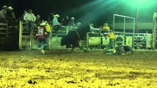 Chinchilla Show 2014 Proper Deadly 1st Trip