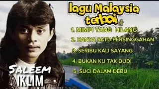 Lagu Terbaik Saleem Iklim || Story Area Persawahan Di Kampung Yang Sejuk