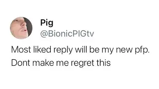 BionicPIG regrets this tweet