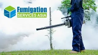 Fumigation Services Asia │Fumigation │Pest Control │Sanitization │Consulting