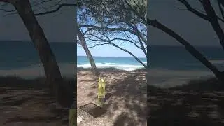 Straddie August 24 site and dunny