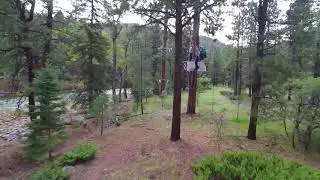Tree Top Soaring Adventures