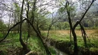 05 The rural landscape