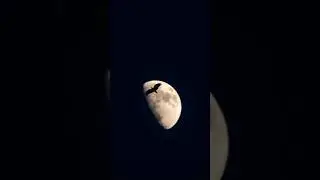 1.2 BILLION Birds: Migration Event Caught on Weather Radar