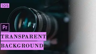 How to export video files with a transparent background in Premiere Pro