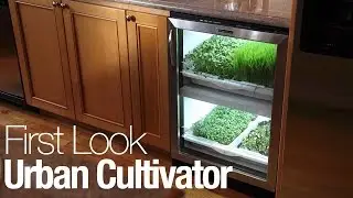 The Urban Cultivator lets you grow food in your own kitchen