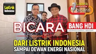 HDI Bicara: Dari Listrik Indonesia sampai Dewan Energi Nasional
