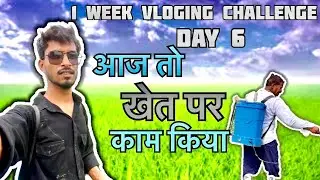 One week logging challenge day, 6 ￼