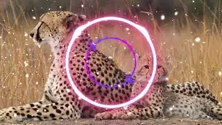 Neon Velocity (Sparking Tech)