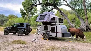 We camped with a MASSIVE bull | Mescal Road | Southern Arizona Dispersed Camping