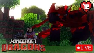 The Final Dragons?! | Minecraft HTTYD #12 | Archipelago Additions + Stego's Dragons