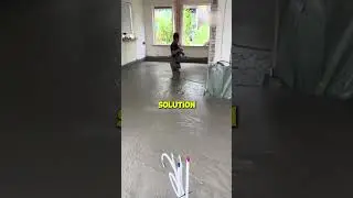 🏡 Floor-to-Ceiling Windows&hellip; But at What Cost?