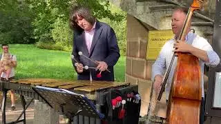 Pavlovsk Jazz fest. Vibraphone and bass duo.