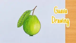 How To Draw Guava Step By Step Very Easy | Guava Drawing Easy | Fruit Drawing