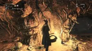 Bloodborne&trade; - Easy Farming Various Triangle Gems - Werewolf VS Cainhurst Knight