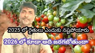 Why did farmers suffer losses in 2025?|2025 లో రైతులు ఎందుకు నష్టపోయారు