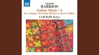 Aires andaluces (Transcr. C. Erwich for Solo Guitar)