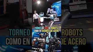 EL Primer Torneo de BOX con ROBOTS como en Gigantes de Acero #box #robot #robots