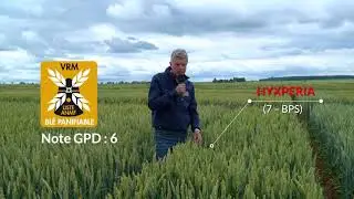 Revue de gamme 2020 - Blés Hybrides