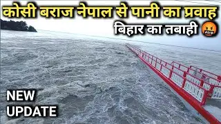 Koshi Barrage Nepal से छोड़ा जा रहा है 1,60000 पानी | kosi nadi |