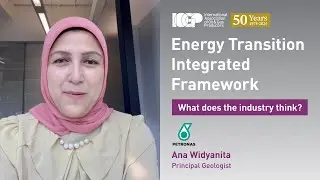 Energy Transition Integrated Framework: What does the industry think?