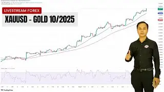 How to Trade Gold and Get Daily Rebates | Exness & XM Rebate System Explained &ndash;  13/10/2025