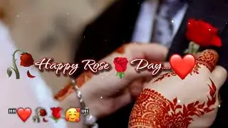 Rose Day 🌹| Rose Day Status 🥰 | 7 February WhatsApp Status &hearts;️ | Romantic Shayari Status