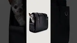 Small dog bag for your chihuahua #mensfashion #luxurylifestyle #luxuryfashion #canadian #poussepitou
