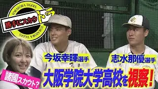 【ドラフト直前】大阪学院高校へ諸國スカウトが視察！？＜今坂 幸暉選手・志水 那優選手＞