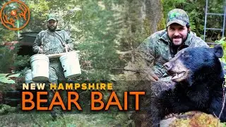 NEW HAMPSHIRE BEAR SEASON, 2025 - Bait Site