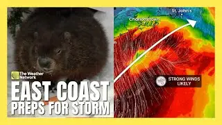 Eastern Canada Preps For Storm, Including Shubenacadie Sam