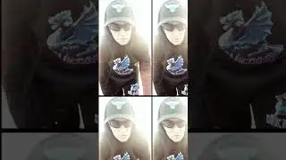 Crazy shark