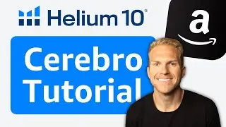 What Is Cerebro Used For On Helium-10? Amazon FBA Keyword Research