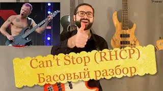 Bass Analysis - Can't Stop (Red Hot Chili Peppers)