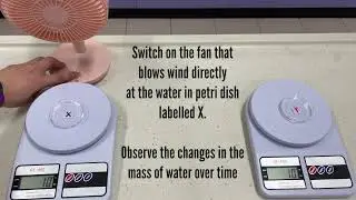 Effect of Wind On Rate Of Evaporation