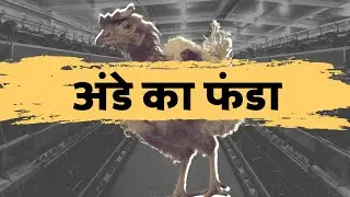 The DARK truth behind EGGS | Egg Industry Exposed in Hindi [English CC]