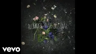 GAMMAL - Blommor där du står (Audio)
