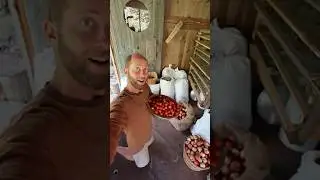 In 3 Weeks I Give up the Grocery Store - Foraging 100% of My Food