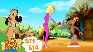 Bob als Fernsehstar| Bob's Beach | Ep. 14 | Ganze Folge