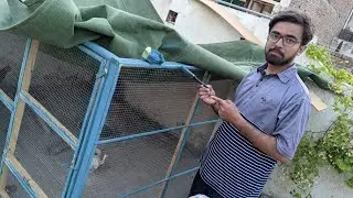 Master Cage paint krdiya | Paint Birds Aviary | Birdy Vlog | Chot Lg Gai mujhe😥