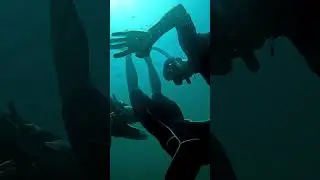 Snorkeling in Fujairah with Reef Oasis Diving Center | Explore the Underwater Beauty!
